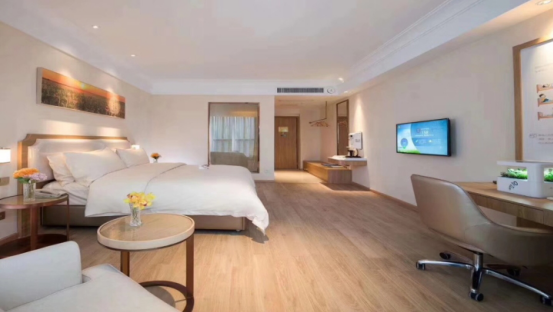 維也納酒店 維也納酒店