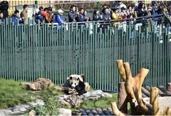 沈陽森林動物園 沈陽森林動物園