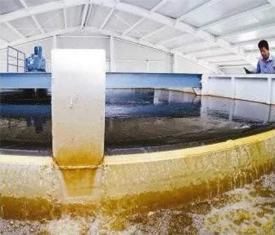 凈水器租賃 凈水器租賃