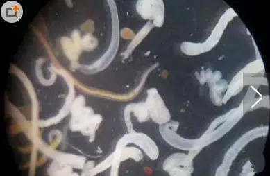 凈水器租賃 凈水器租賃