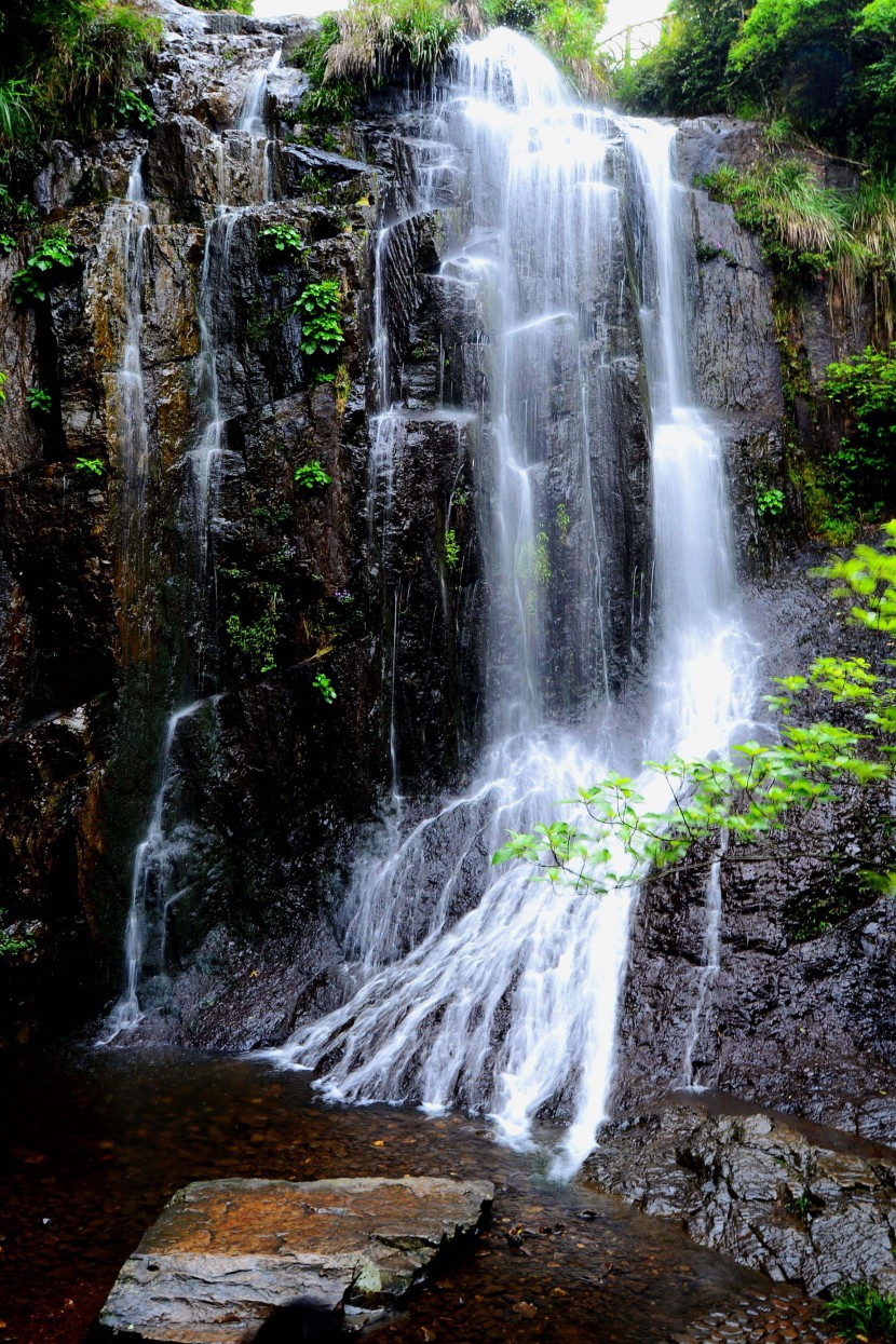 凈水器租賃 凈水器租賃