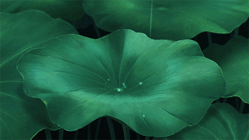 凈水器租賃 凈水器租賃