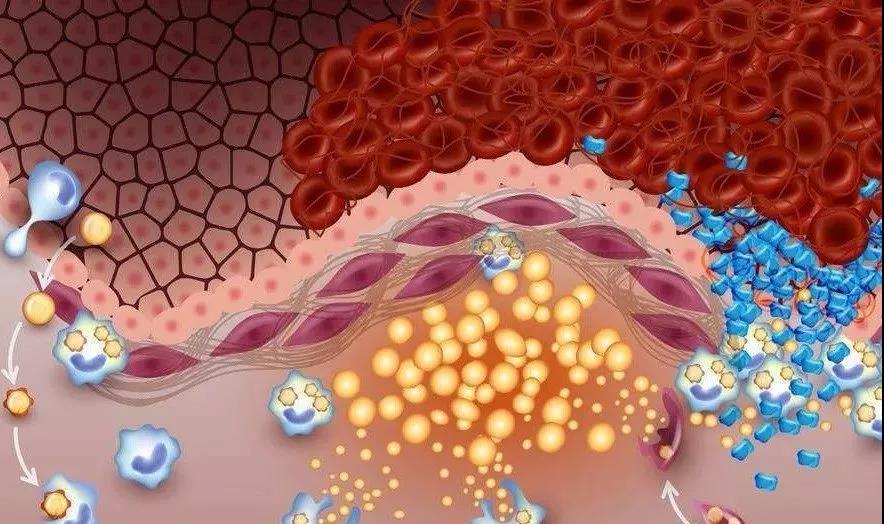 凈水器租賃 凈水器租賃